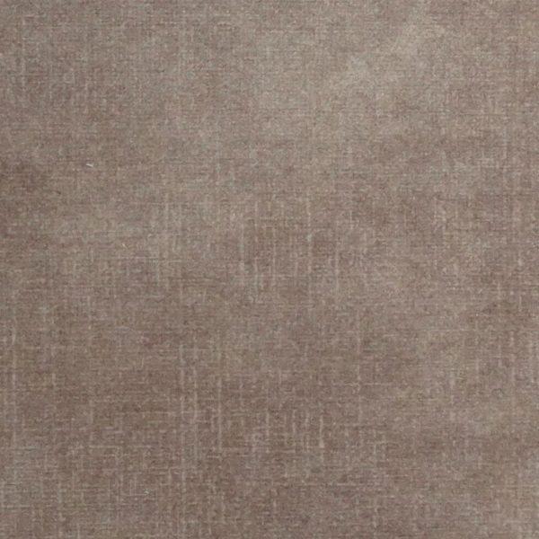 Biscuit | Dove | Coniston